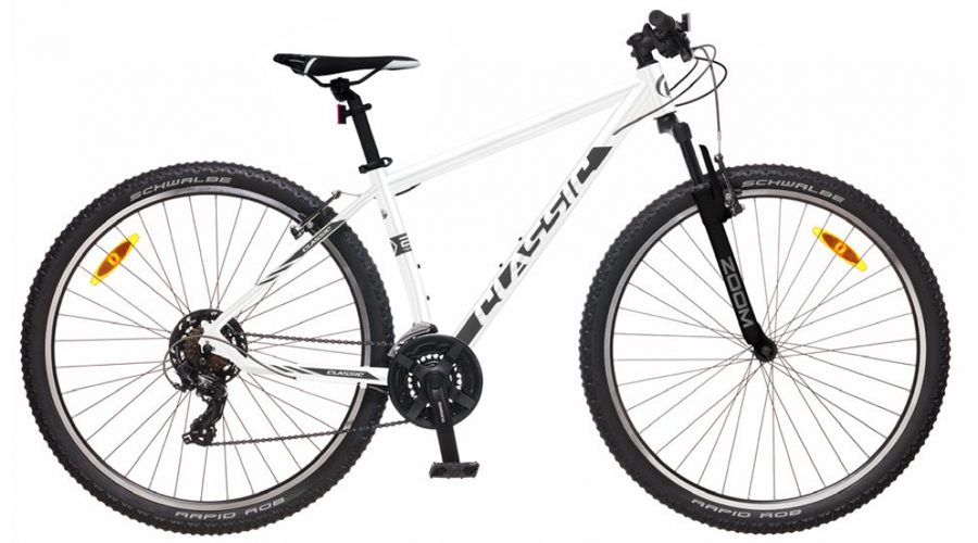 CLASSIC TEAM 29 WHITE