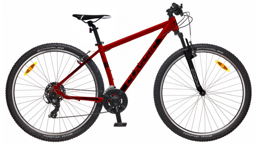CLASSIC TEAM 29 RED