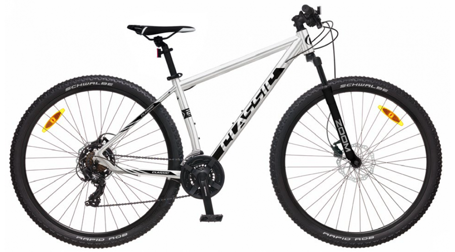 CLASSIC PRO 29 SILVER